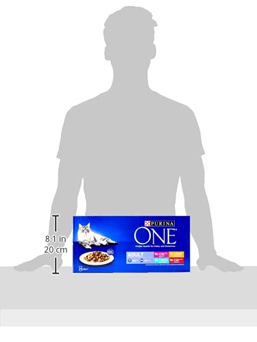 PURINA ONE Mini Fillets Mixed Selection in Gravy Adult Wet Cat Food 40x85g