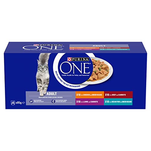 PURINA ONE Mini Fillets Mixed Selection in Gravy Adult Wet Cat Food 40x85g