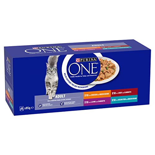 PURINA ONE Mini Fillets Mixed Selection in Gravy Adult Wet Cat Food 40x85g