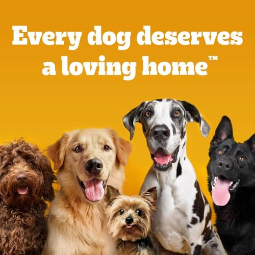 PEDIGREE TASTY MINIS Adult Dog Treats Cheese & Beef Nibbles 140g - Pack of 8, Packaging May Vary