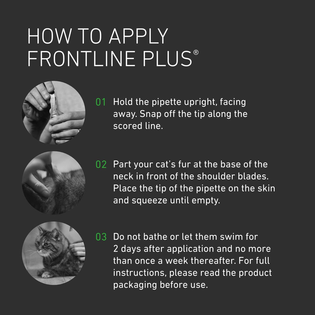 FRONTLINE Plus Flea & Tick Treatment for Cats and Ferrets - 6 Pipettes