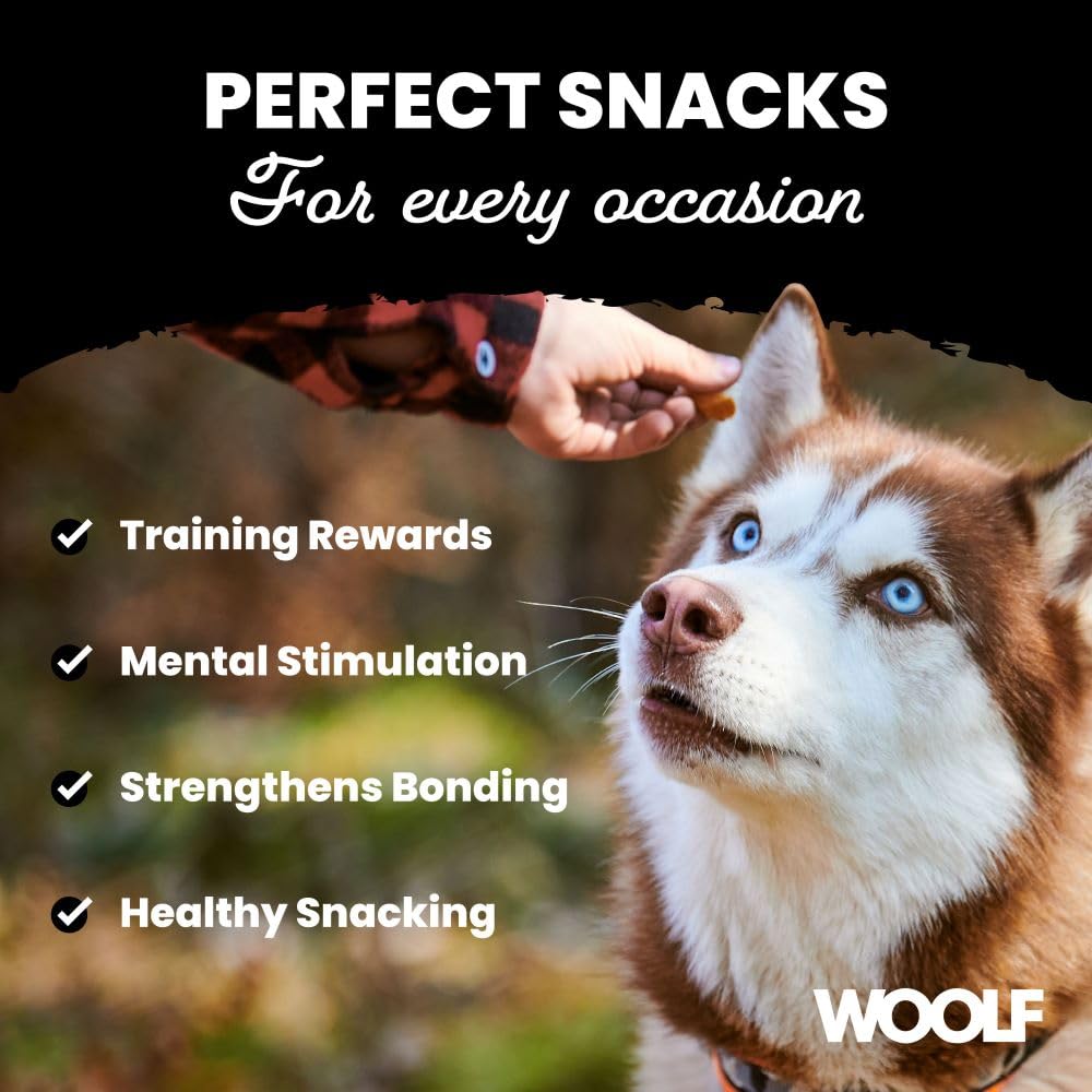 WOOLF Soft Duck Fillet Dog Treats - Complementary Snacks for Dogs. All-Natural Ingredients, High Meat Content, Nutritional, Free from Artificial Additives. Suitable for Dogs (100g)