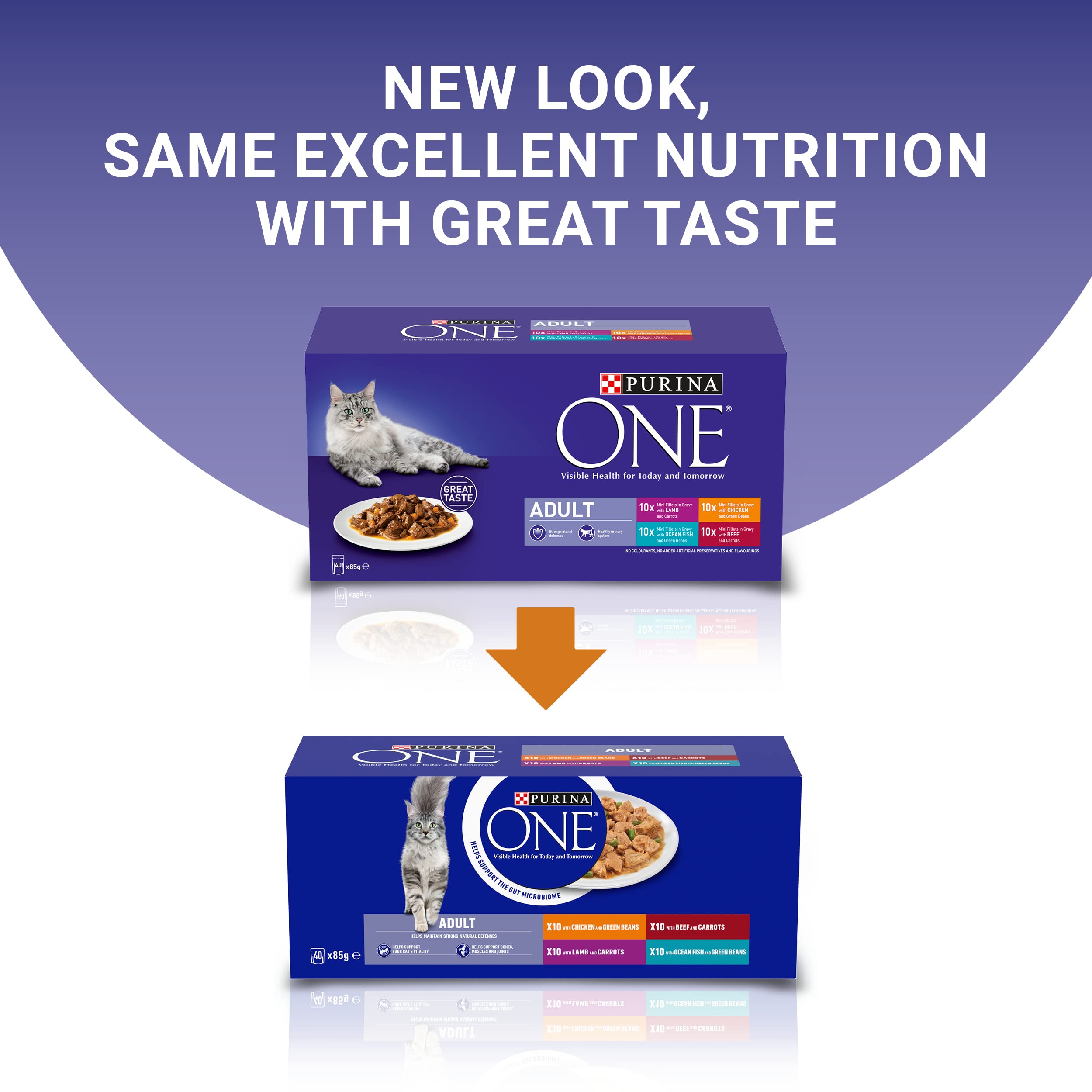PURINA ONE Mini Fillets Mixed Selection in Gravy Adult Wet Cat Food 40x85g