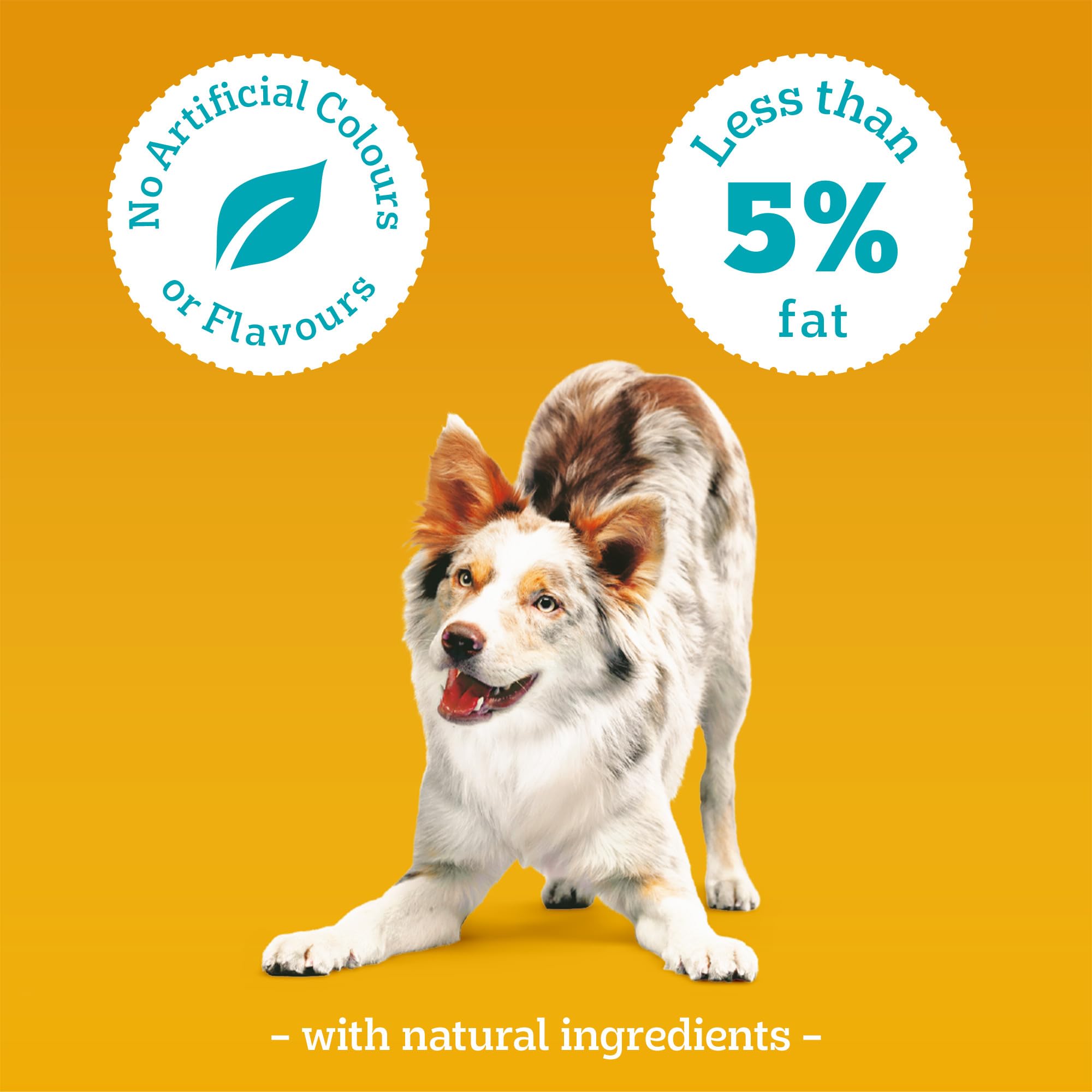 PEDIGREE TASTY MINIS Adult Dog Treats Cheese & Beef Nibbles 140g - Pack of 8, Packaging May Vary