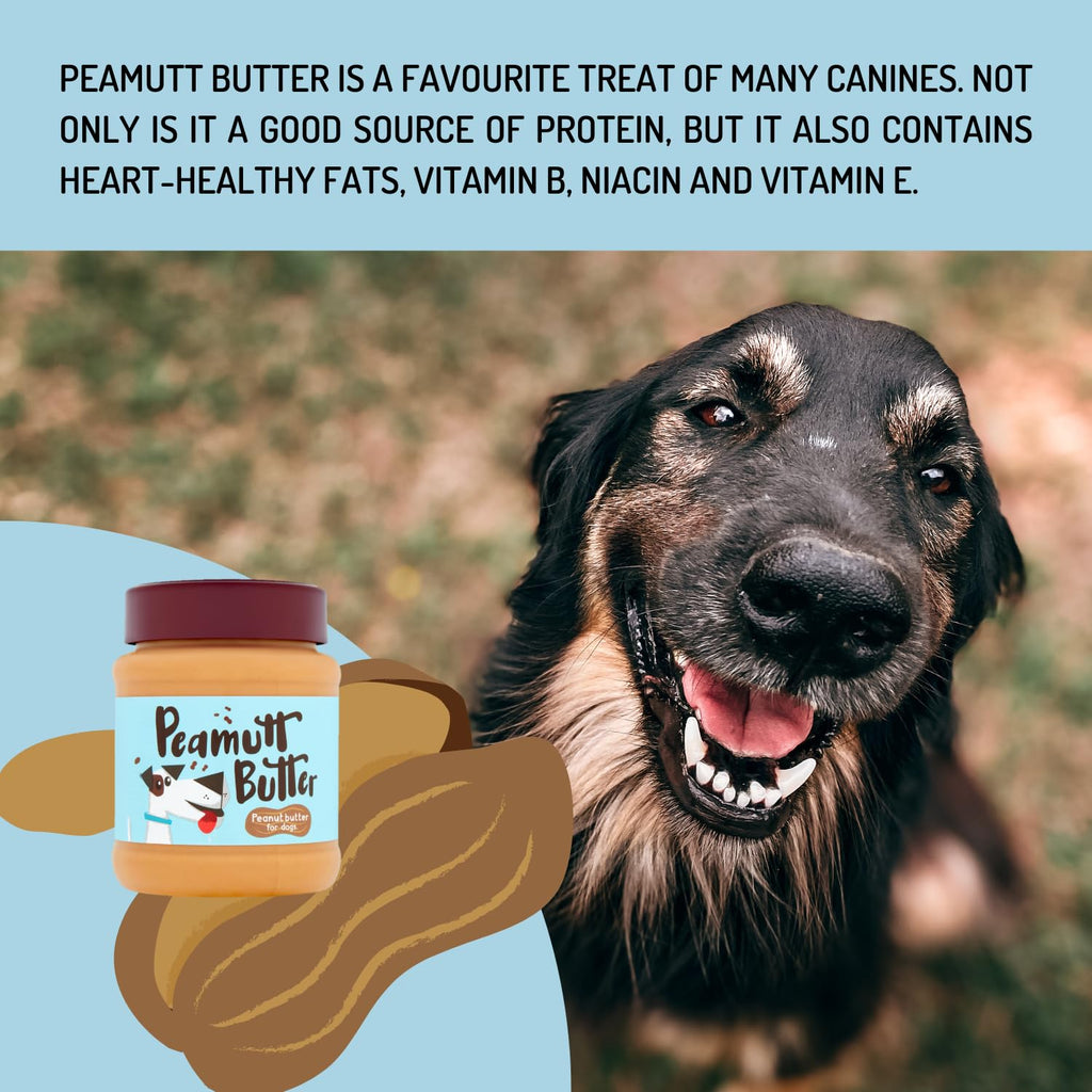 Peamutt Dog Peanut Butter | Peanut Butter Dog Treat | Formulated for Dogs | No Added Sugar and Salt | No Sweeteners | Dog Friendly Texture | Perfect Dog Treat | Pack of 1x340g