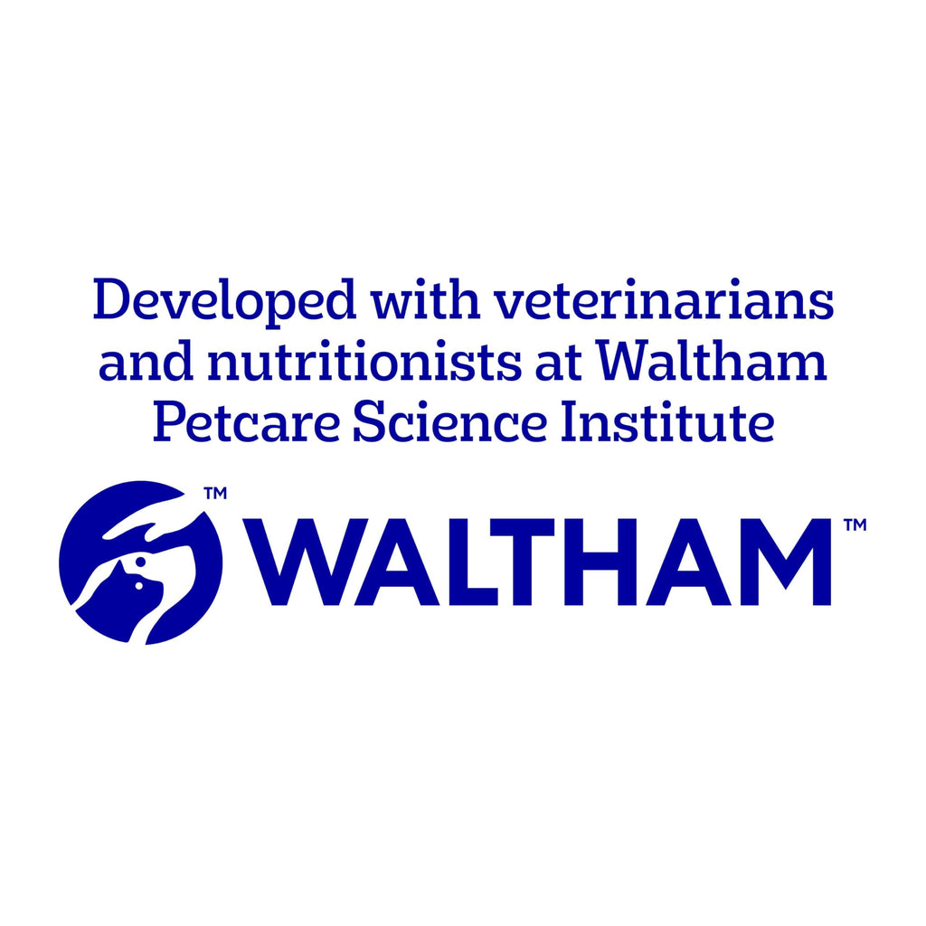 Pedigree Biscrok Multi Mix - Dog Treats - Bone-Shaped Biscuits - 500 g