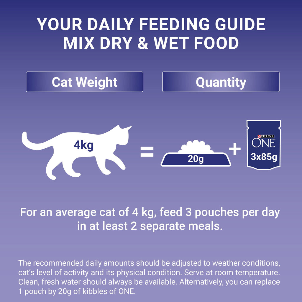PURINA ONE Mini Fillets Mixed Selection in Gravy Adult Wet Cat Food 40x85g