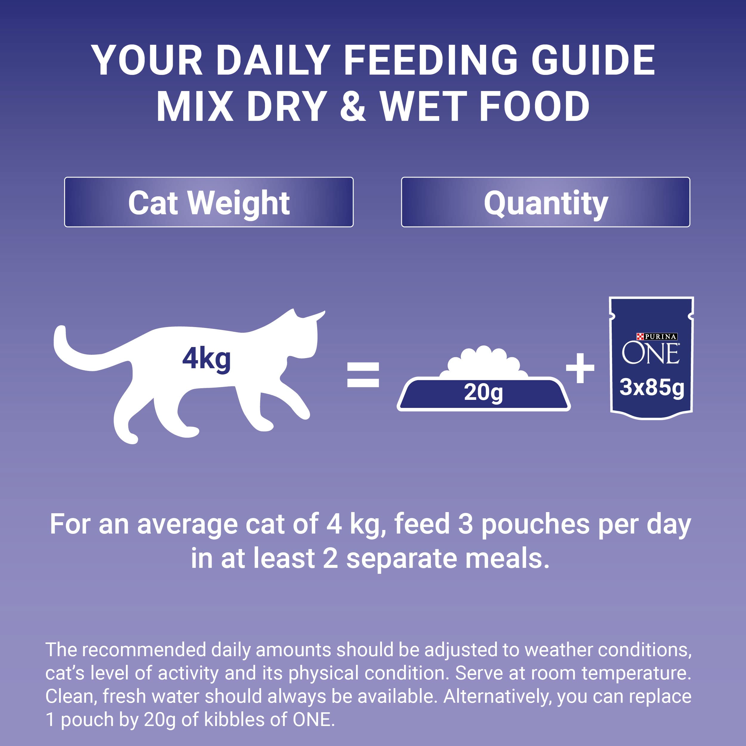 PURINA ONE Mini Fillets Mixed Selection in Gravy Adult Wet Cat Food 40x85g