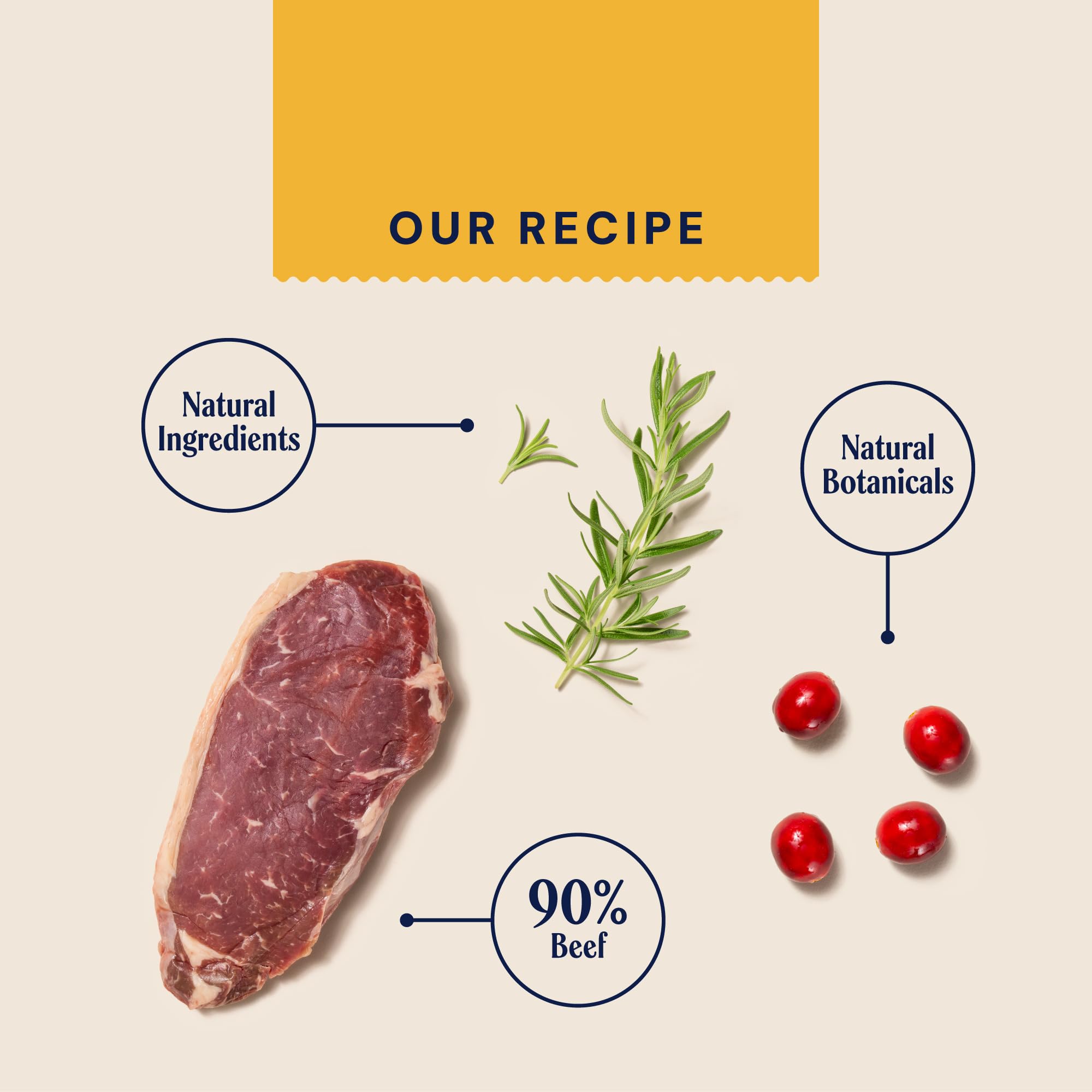 Pooch & Mutt - Puppy Jerky Training Treats, Grain Free Dog Treat Suitable for All Ages, Beef Jerky for Dog Training, Pack of 1x80g (packaging may vary)