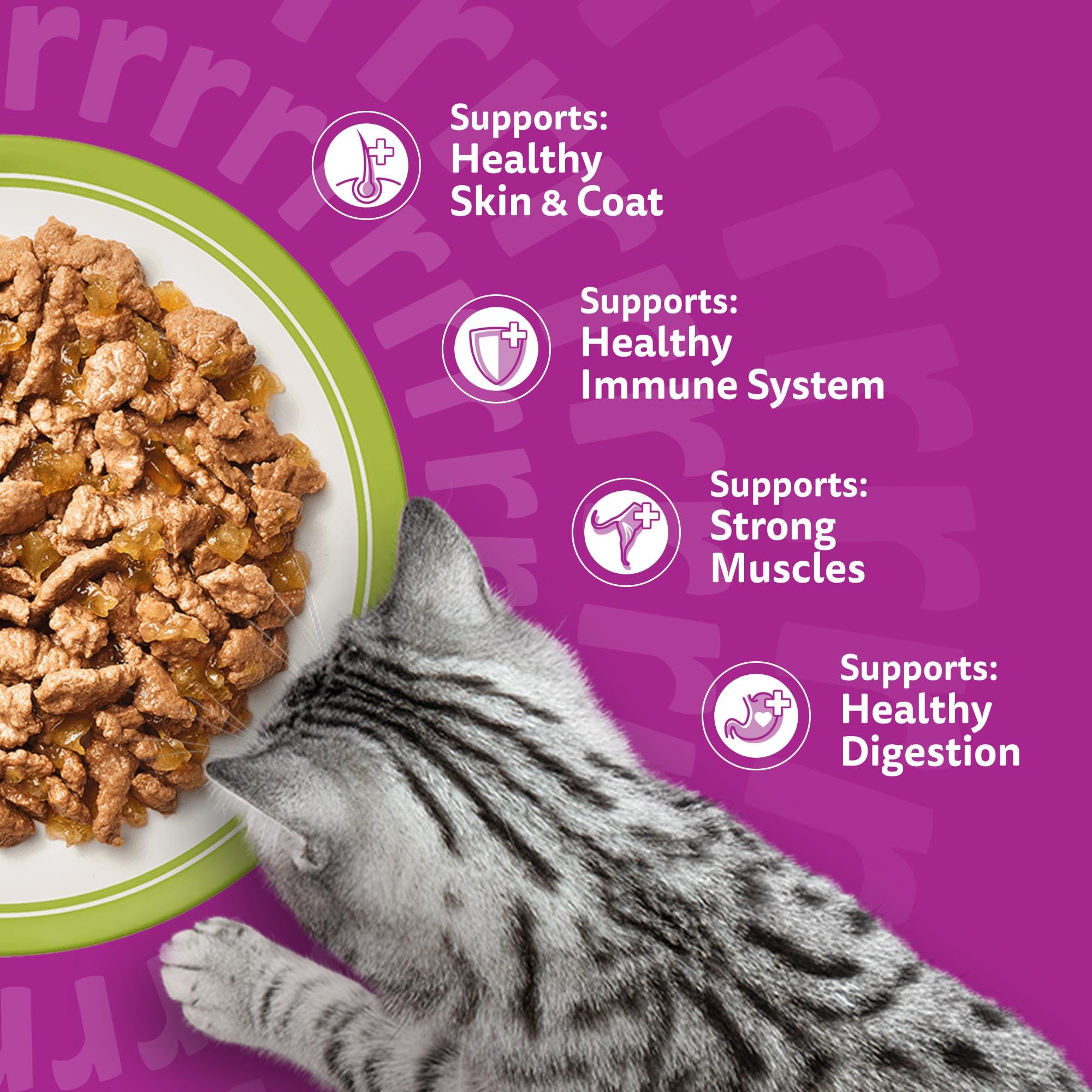 whiskas 1 plus Adult Mixed Selection in Jelly 84 Pouches, Adult Wet Cat Food, Megapack (84 x 85 g)