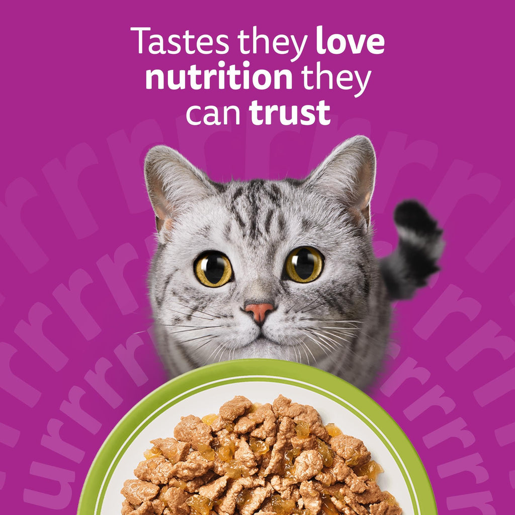 whiskas 1 plus Adult Mixed Selection in Jelly 84 Pouches, Adult Wet Cat Food, Megapack (84 x 85 g)