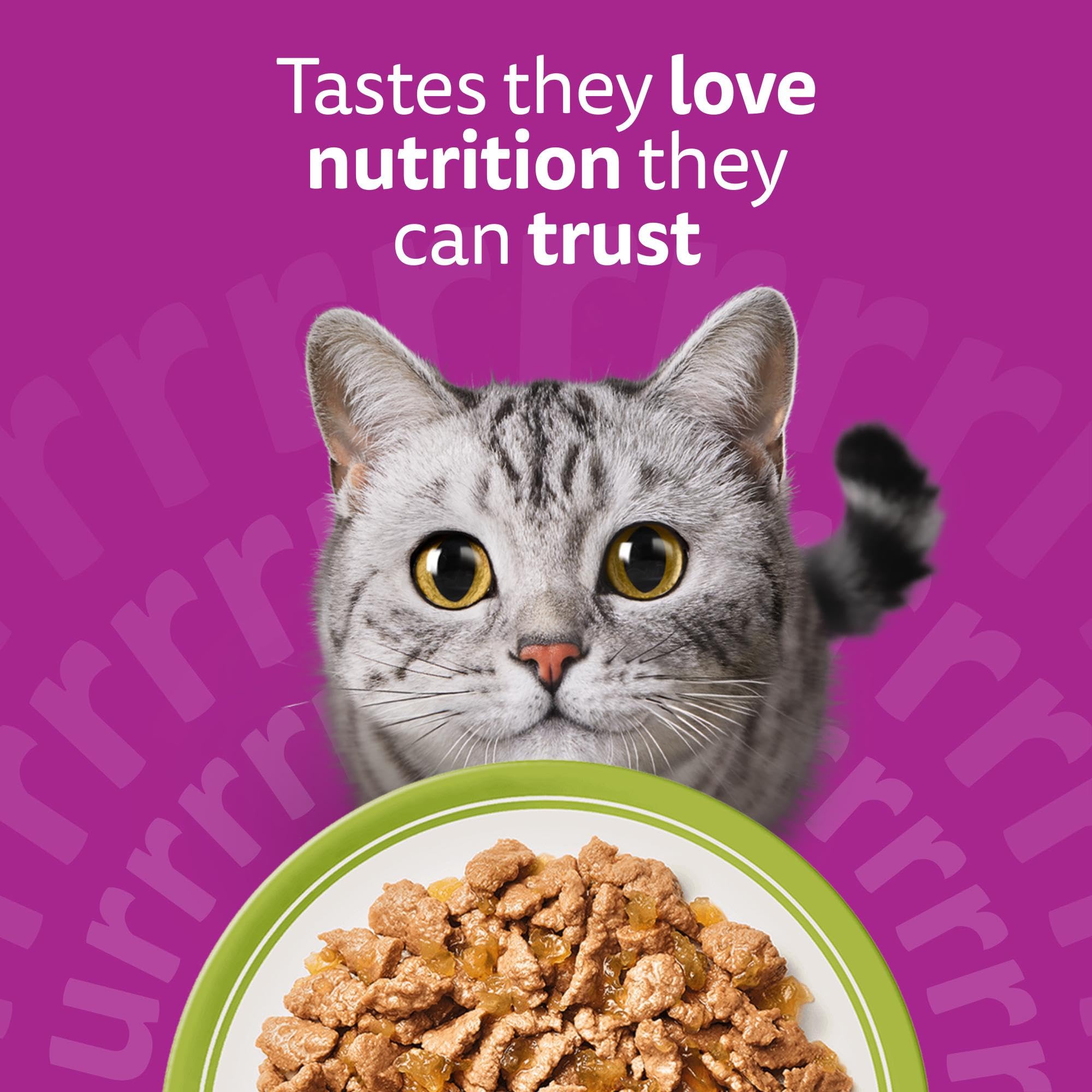 whiskas 1 plus Adult Mixed Selection in Jelly 84 Pouches, Adult Wet Cat Food, Megapack (84 x 85 g)