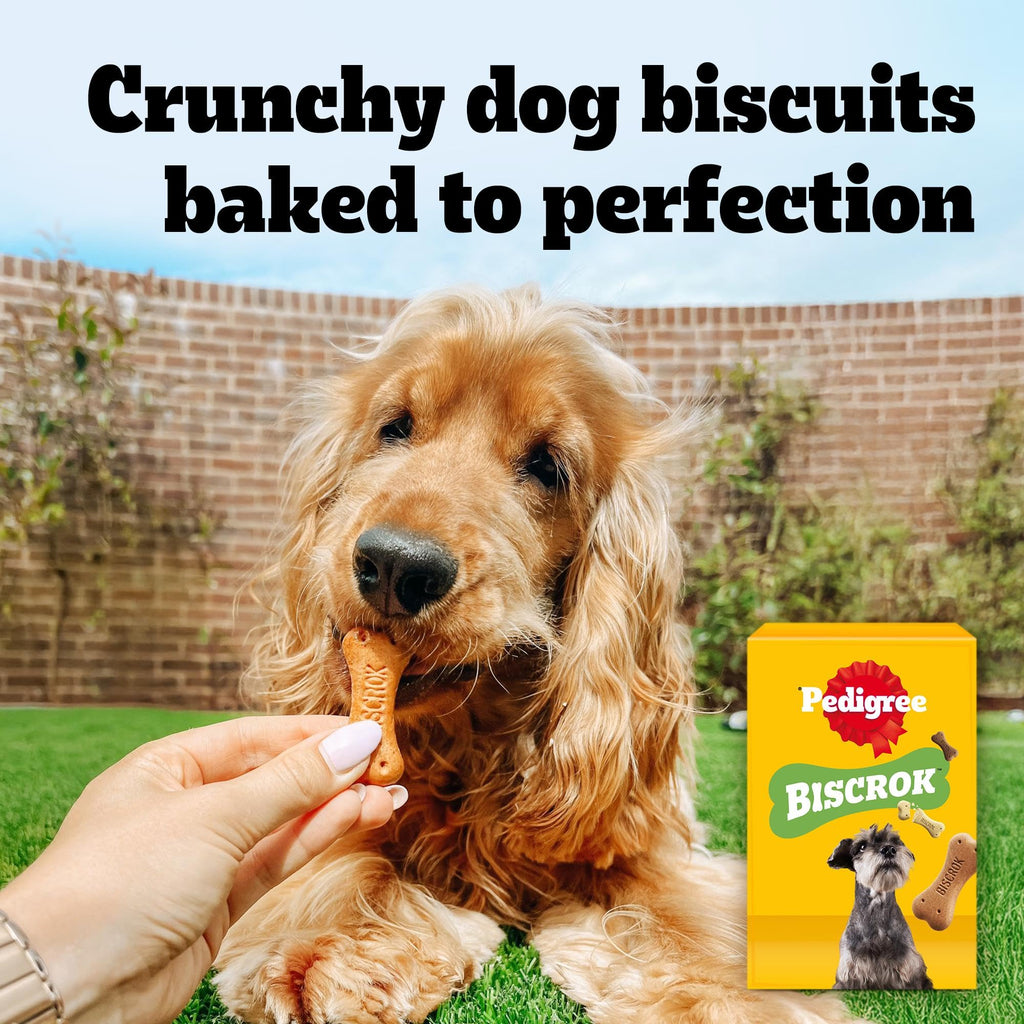 Pedigree Biscrok Multi Mix - Dog Treats - Bone-Shaped Biscuits - 500 g