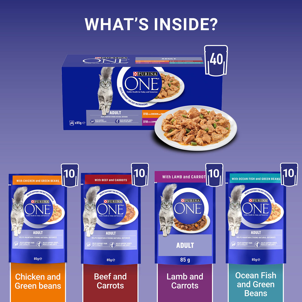 PURINA ONE Mini Fillets Mixed Selection in Gravy Adult Wet Cat Food 40x85g