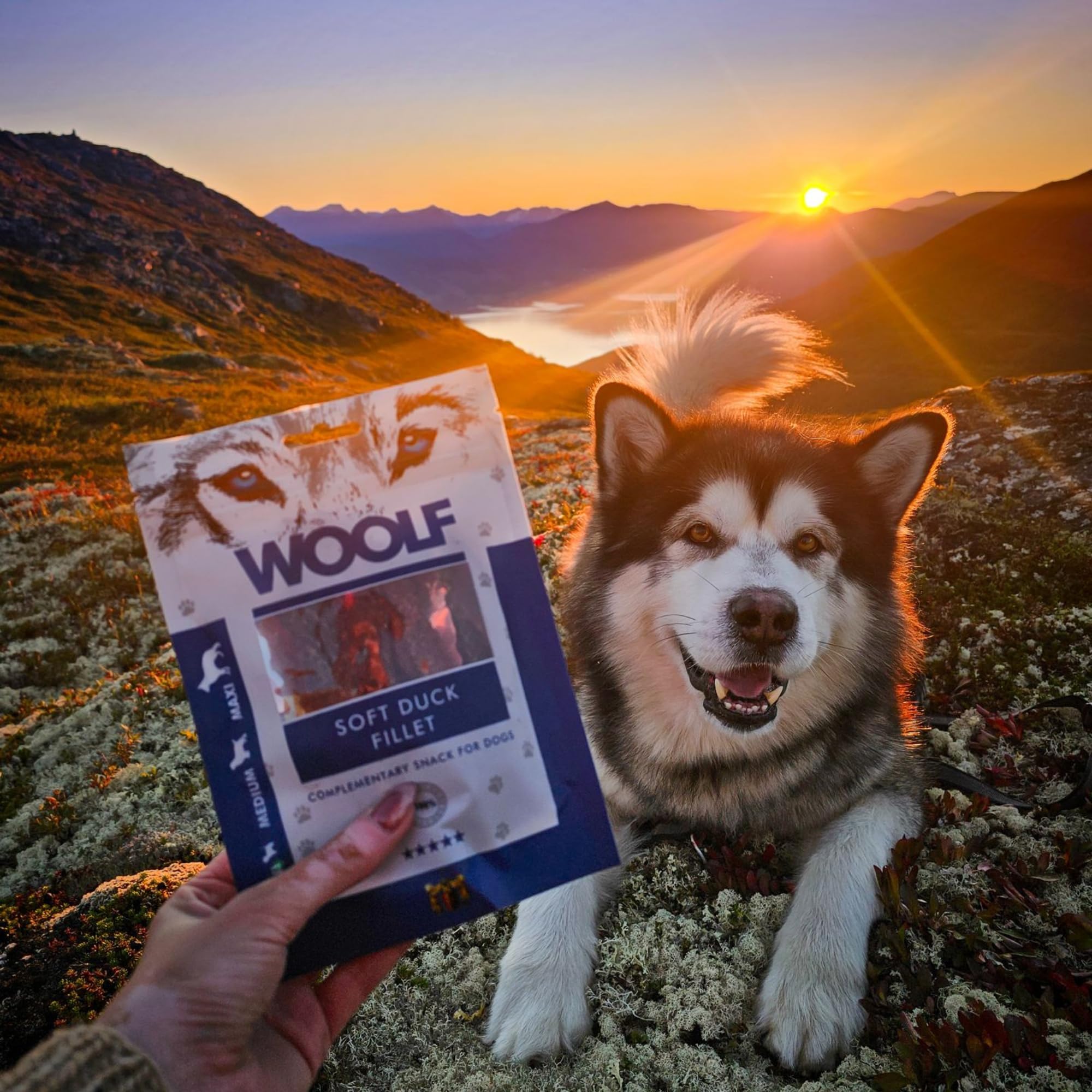 WOOLF Soft Duck Fillet Dog Treats - Complementary Snacks for Dogs. All-Natural Ingredients, High Meat Content, Nutritional, Free from Artificial Additives. Suitable for Dogs (100g)