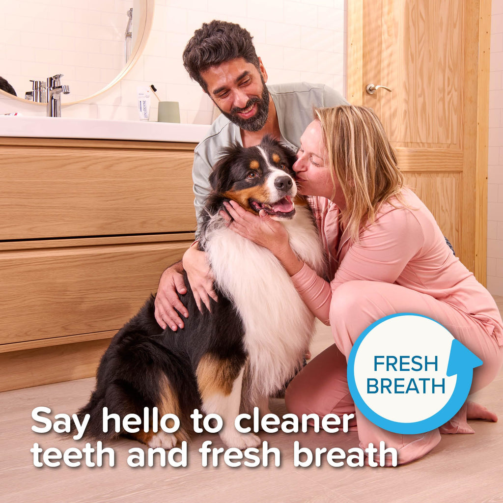 Beaphar - Liver Flavour Toothpaste with Enzymes - Dental Care for Cats & Dogs - Helps Control Plaque and Tartar, and Freshen Breath - Supports Normal Gum Function – Fluoride-Free - 100g Tube