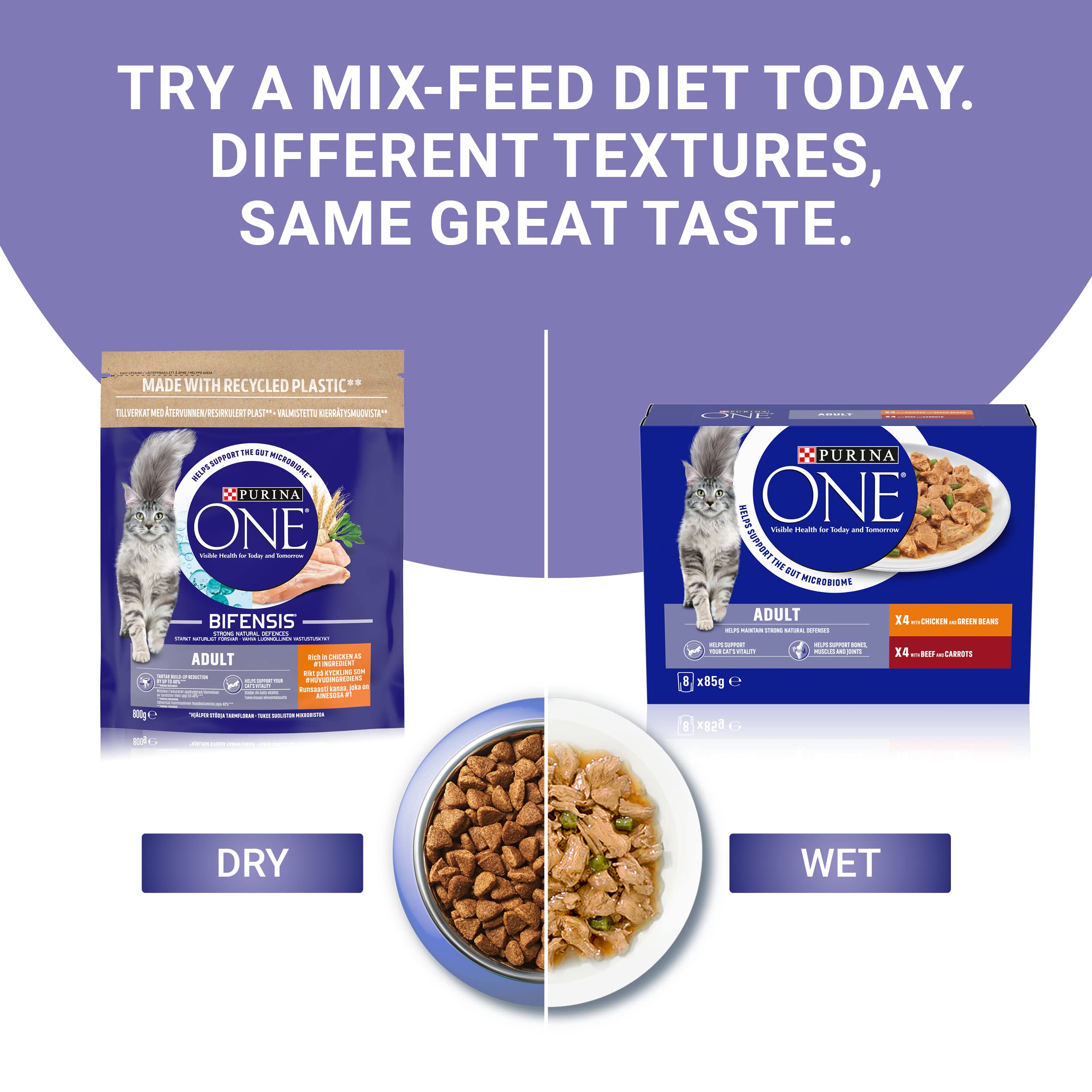 PURINA ONE Mini Fillets Mixed Selection in Gravy Adult Wet Cat Food 40x85g