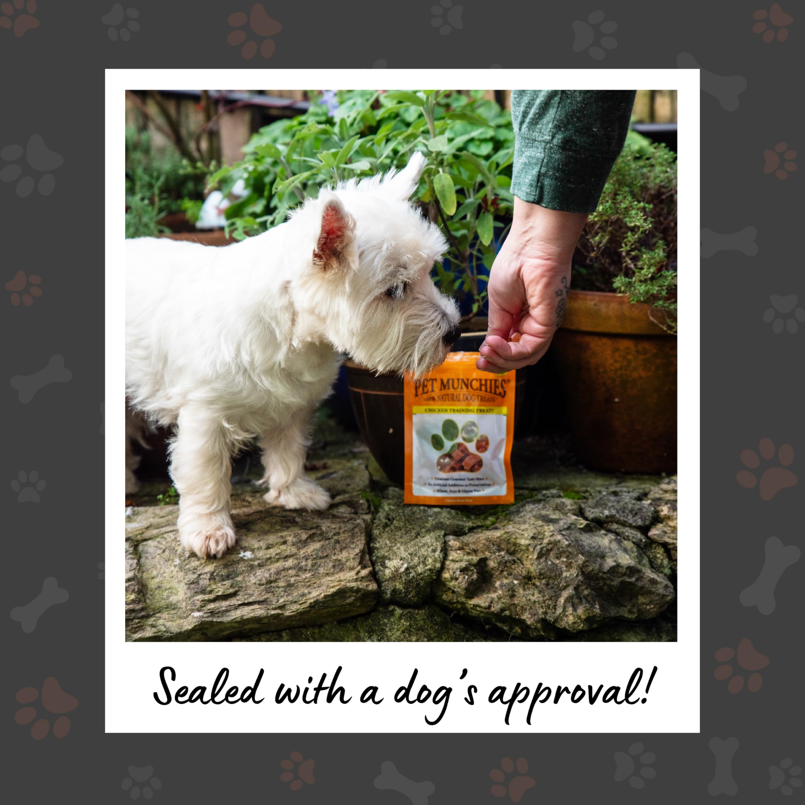 Pet Munchies Chicken Dog Training Treats, Grain Free Tasty Bites with Natural Real Meat, Low in Fat 50g